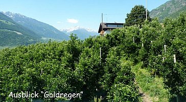 Ferienwohnung in Kastelbell-Tschars - Ferienwohnung Goldregen