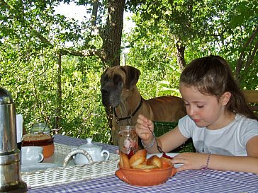 Ferienwohnung in Caprazzino-Sassocorvaro - Auch grosse Hunde sind wilkommen