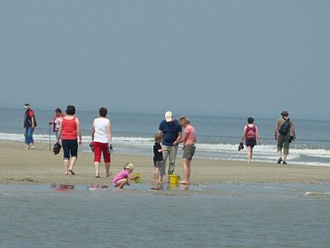 Ferienhaus in Scharendijke - Sandbank beim Strandabschnitt Watergate