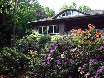 Ferienhaus in Lutterloh - Blick von der Gartenseite auf das Haus