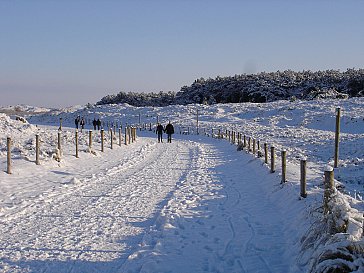 Ferienhaus in St. Maartenszee - Dünenlandschaft im Winter