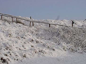 Ferienhaus in Julianadorp - Winterliche Dünenlandschaft