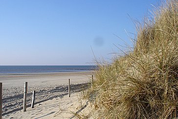 Ferienhaus in Julianadorp - Kilometerlanger, feiner Sandstrand