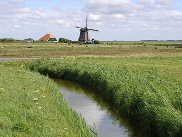 Ferienhaus in Julianadorp - Polderlandschaft