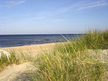 Ferienhaus in Julianadorp - Kilometerlanger feiner Sandstrand mit Dünen