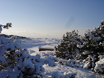 Ferienhaus in Julianadorp - Winterliche Dünenlandschaft