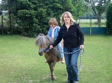 Ferienwohnung in Plauerhagen - Pony Sonja