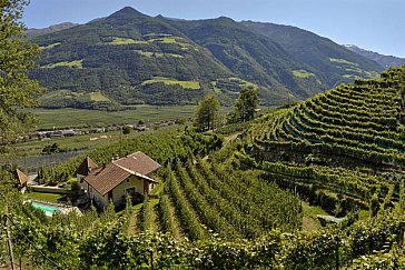 Ferienwohnung in Kastelbell-Tschars - Himmelreich Hof inmitten der Weinberge