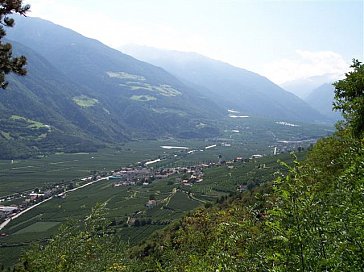 Ferienwohnung in Kastelbell-Tschars - Blick vom Schnalswaal Richtung Tschars-Vinschgau