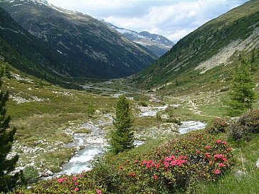 Ferienwohnung in Mayrhofen - Sommer