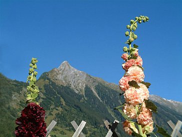 Ferienwohnung in Mayrhofen - Frühjahr