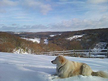 Ferienwohnung in Bad Neuenahr-Ahrweiler - Winterlandschaft an der Burgruine Landskrone