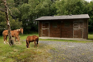 Ferienhaus in Portumna - Bild12