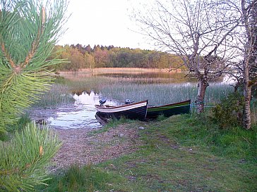 Ferienhaus in Portumna - Bild14