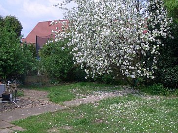 Ferienwohnung in Hagenburg - Apfelblüte im Garten