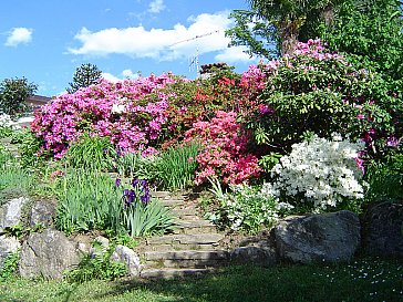 Ferienhaus in Porto Valtravaglia - Garten