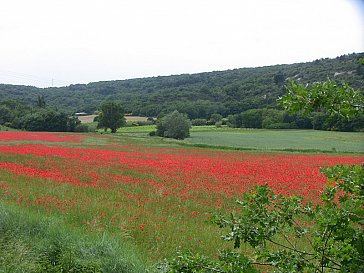 Ferienwohnung in Cornillon - Provence pur