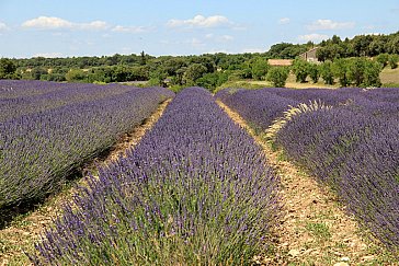 Ferienwohnung in Cornillon - Provence pur