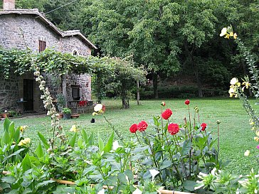 Ferienwohnung in Orvieto - Bild3