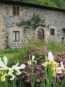 Ferienwohnung in Orvieto - Bild15