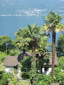 Ferienhaus in Caviano - Casa Bühler von oben