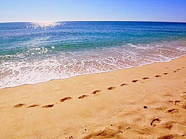 Ferienwohnung in Carvoeiro - Strand Praia Cedntianes