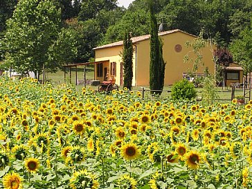 Ferienwohnung in Bibbona - Podere Santa Maria