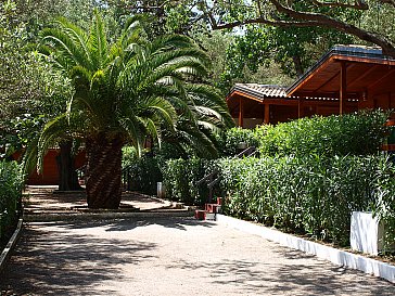 Ferienwohnung in Marina di Camerota - Die Oase mit Holzbungalows mit Palmen u Eukalypten