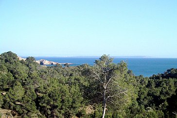 Ferienhaus in San José-Porroig - Aussicht