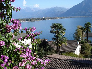 Ferienwohnung in Minusio - Sicht auf den Lago Maggiore (Langensee)