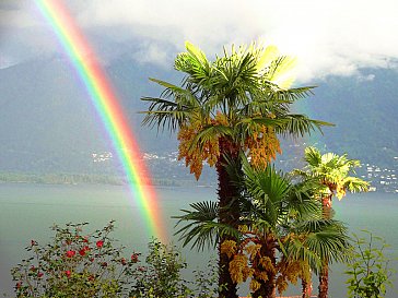 Ferienwohnung in Minusio - Paradiso di vacanze