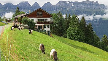 Ferienwohnung in Flumserberg-Tannenheim - Schwendihof in Flumserberg-Tannenheim