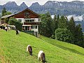 Ferienwohnung in St. Gallen Flumserberg-Tannenheim Bild 1