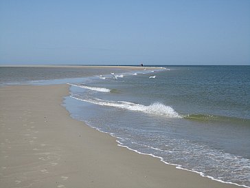 Ferienhaus in Renesse - Strand