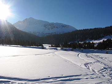 Ferienwohnung in Taufers im Münstertal - Spass für die ganze Familie