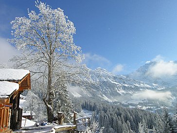 Ferienhaus in Wengen - Skihütte Yeti