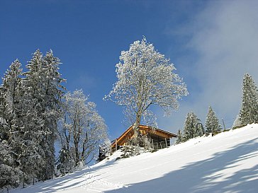 Ferienhaus in Wengen - Winterweg zu Hütte mit dem Badebottich