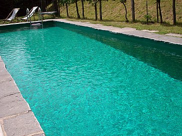 Ferienhaus in Minusio - Ihr privater Pool 8x3 Meter