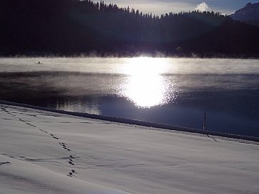 Ferienwohnung in La Punt-Chamues-ch - St. Moritzersee im Herbst mit Ruderer