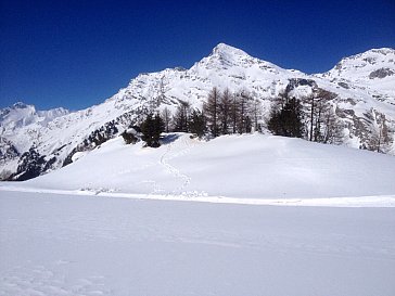 Ferienwohnung in La Punt-Chamues-ch - Magnia bei Sils