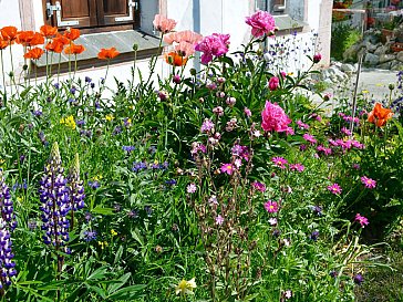 Ferienwohnung in La Punt-Chamues-ch - Garten Chesa Chardun