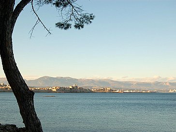 Ferienhaus in Antibes Juan les Pins - Die typische Silhouette von Antibes Juan les Pins