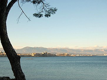 Ferienhaus in Antibes Juan les Pins - Die typische Silhouette von Antibes Juan les Pins