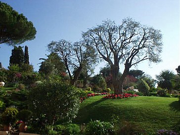 Ferienwohnung in Antibes Juan les Pins - Exotische Pflanzen mit Spazierwegen