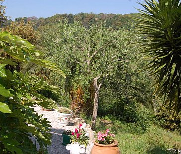 Ferienwohnung in Biot - Garten