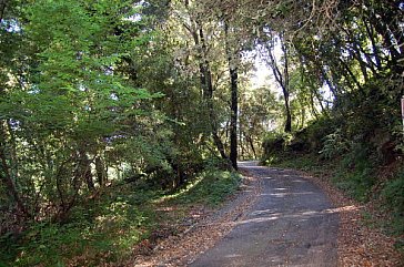 Ferienwohnung in Biot - Anfahrt zur Villa in freier Natur