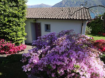 Ferienhaus in Minusio - Eco-casa Paradiso di vacanze