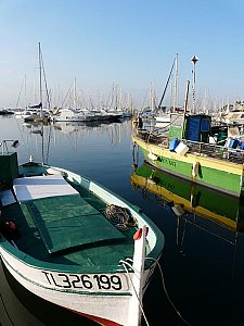 Ferienwohnung in Antibes Juan les Pins - Frischen Fisch täglich im Hafen von Antibes