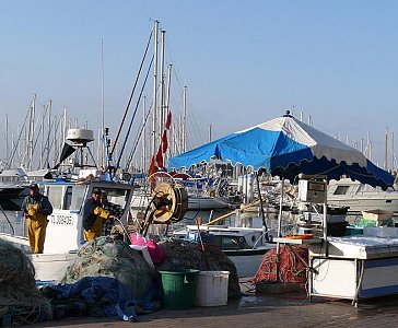 Ferienwohnung in Antibes Juan les Pins - Täglich frischer Fisch