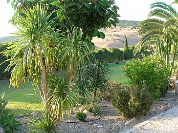 Ferienhaus in Conil de la Frontera - Gartenansicht